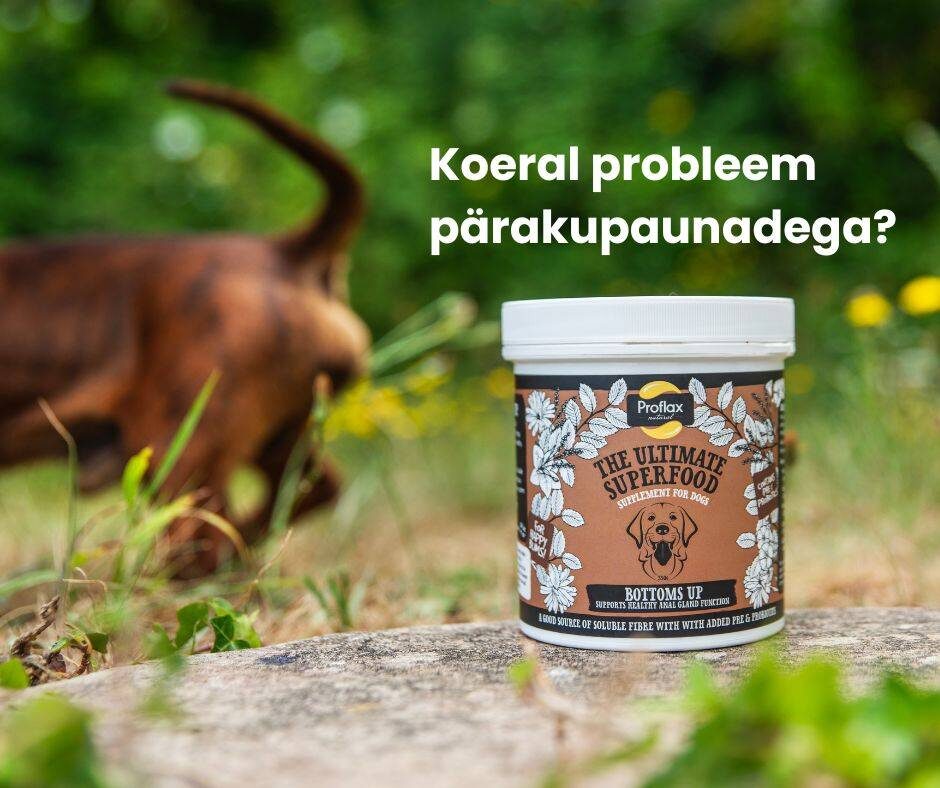 Pärakupaunad